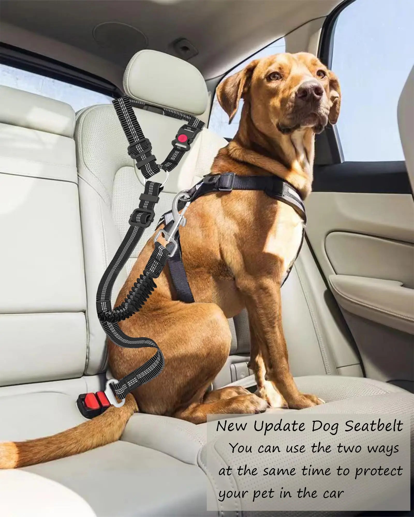 Heavy Duty Adjustable Dog Car Seat Belt | Large Dog Travel Restraint