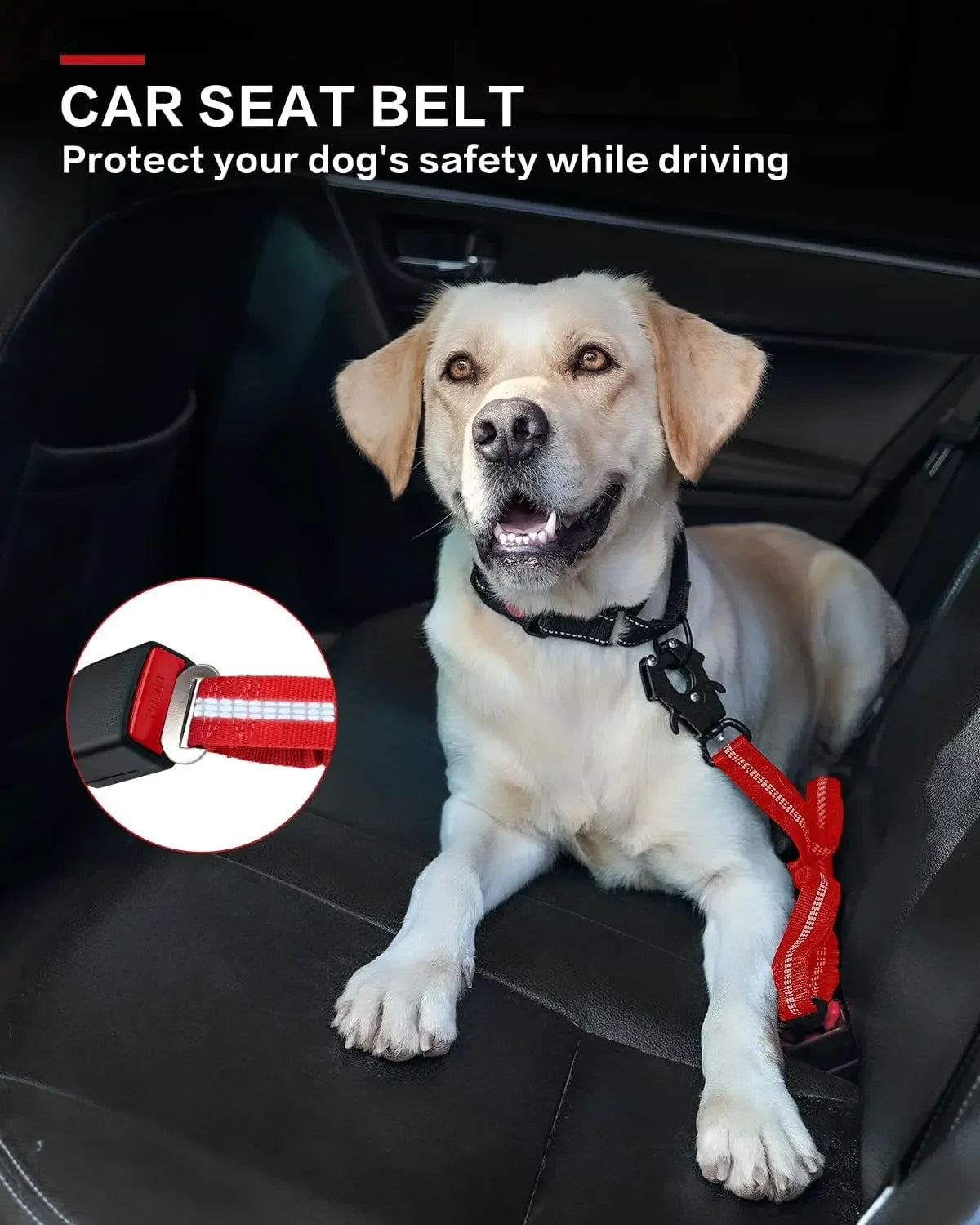 Heavy Duty Tactical Dog Leash with Dual Padded Handles | Large Breed